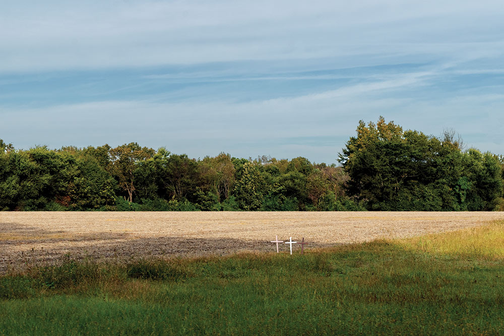 crosses on farm land with trees in background