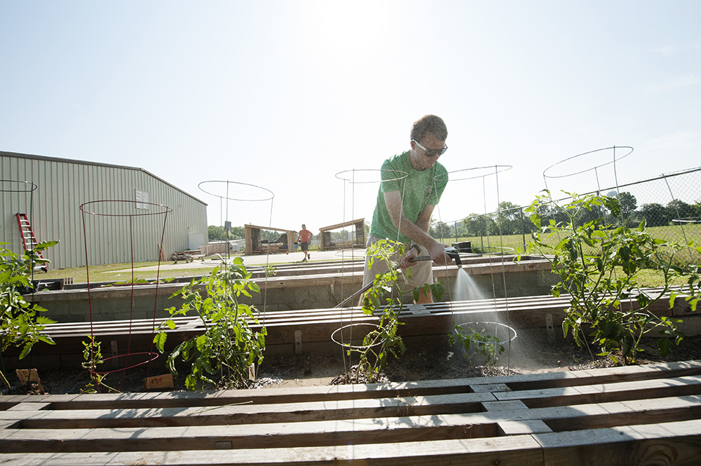 Maroon Center Volunteers help water plants at the Starkville Boys and Girls Club Educational Garden, a School of Architecture outreach project. (photo by Megan Bean / © Mississippi State University)