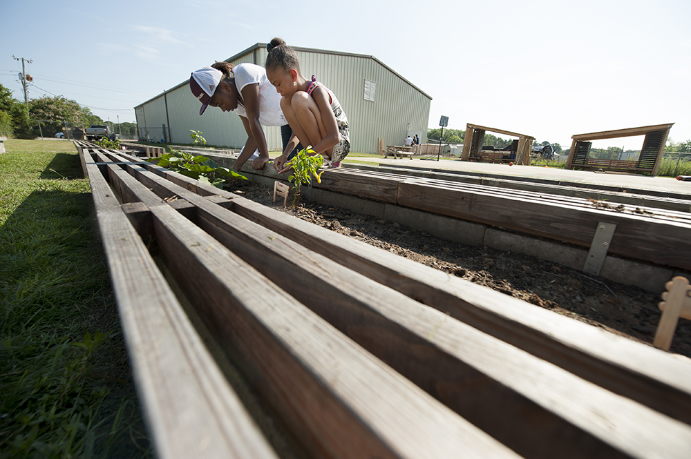 Architecture-BoysGirlsClub_Garden_20160721_M3B2604