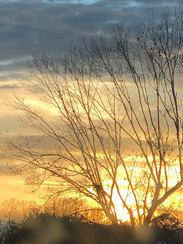 Color photograph of a blue and yellow sky full of clouds.