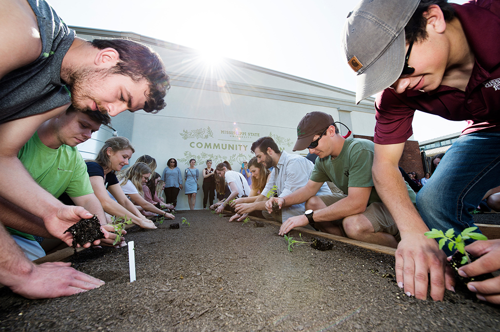 Landscape Architecture Community Garden first-planting day.<br />
 (photo by Megan Bean / © Mississippi State University)