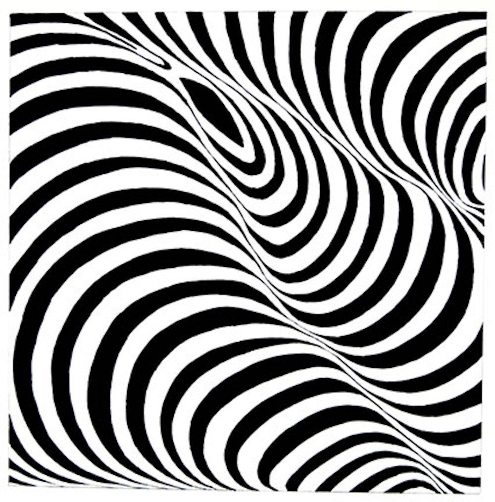 Image of black and white lines that form to create an illusion.