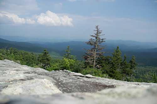 Marita Gootee's photo shows a view off the side of a mountain into the forest