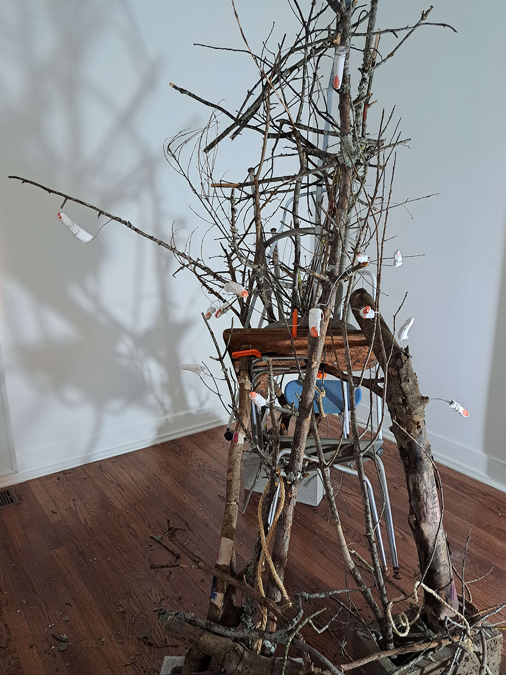 Several sculptures made from objects obtained from various places I frequent, tree branches, and finger molds working in conjunction with one another to create a piece. 