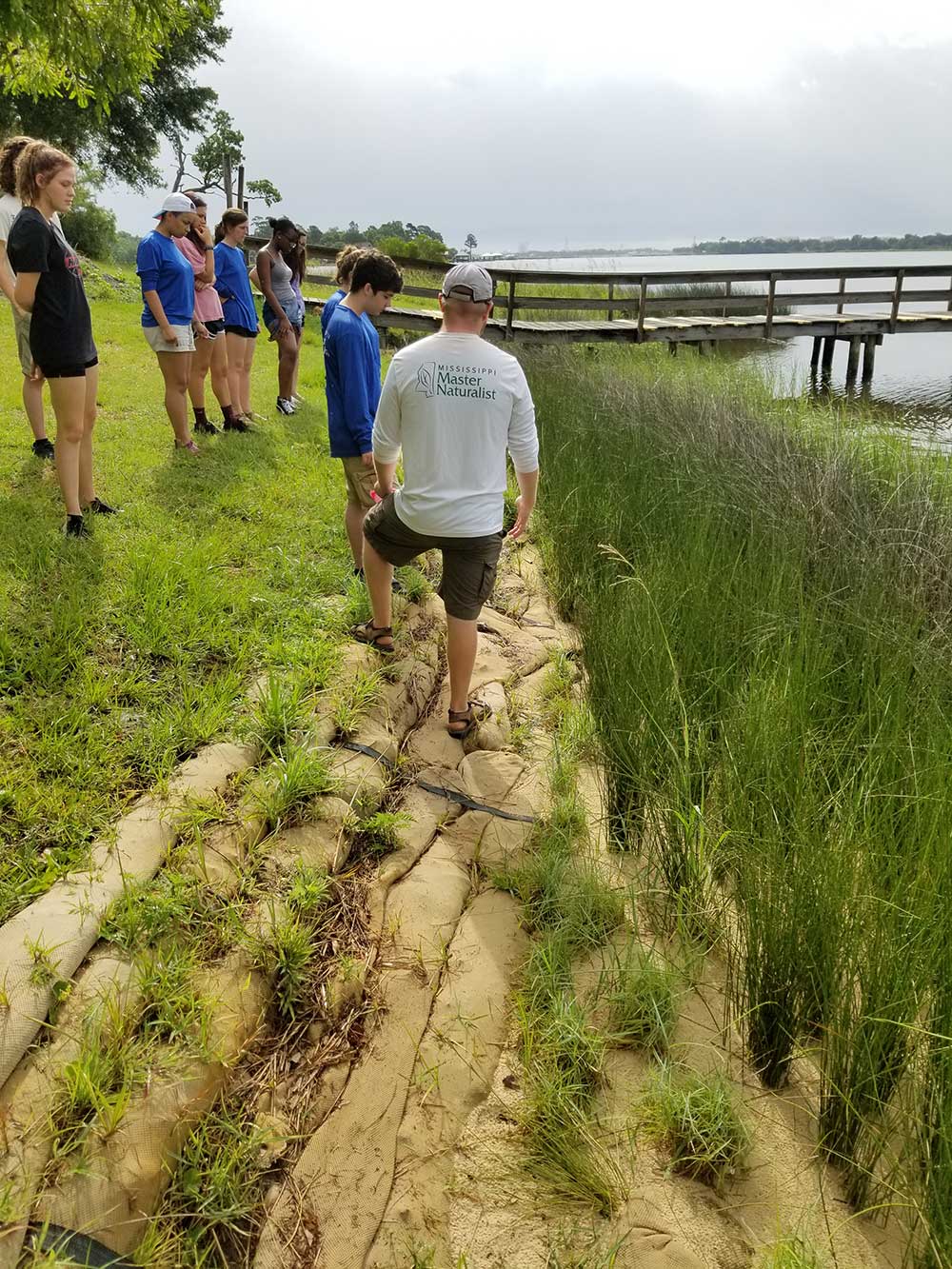 Interns learning about living shorelines as part of Student Master Naturalist Program. A group stands in the grass by a dock/ramp looking at the water/shorline