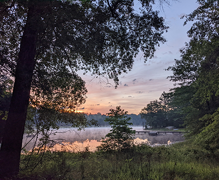 Photograph of fog on a a lake at morning.